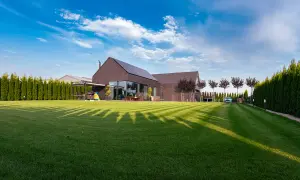 Nowoczesny dom z panelami słonecznymi, zadbanym ogrodem i niebieskim samochodem na podjeździe.